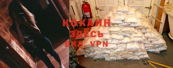 МДПВ Липки